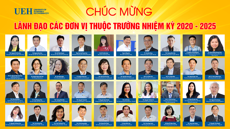 cá cược thể thao hul city